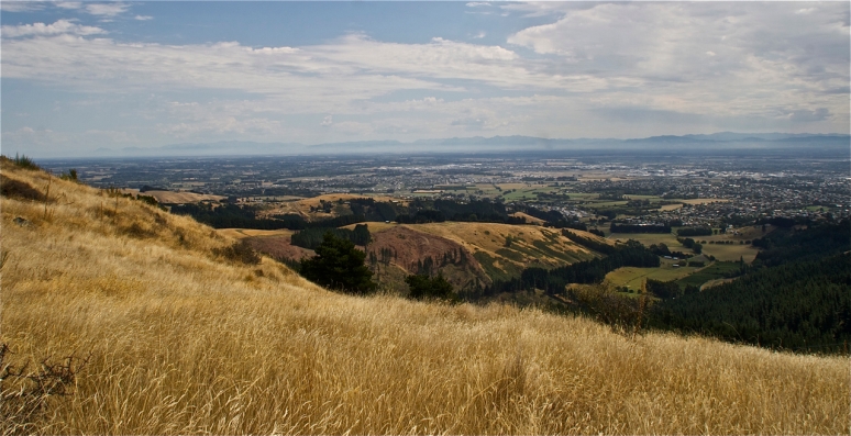 where the steep volcanic hills meet the Canterbury plains4